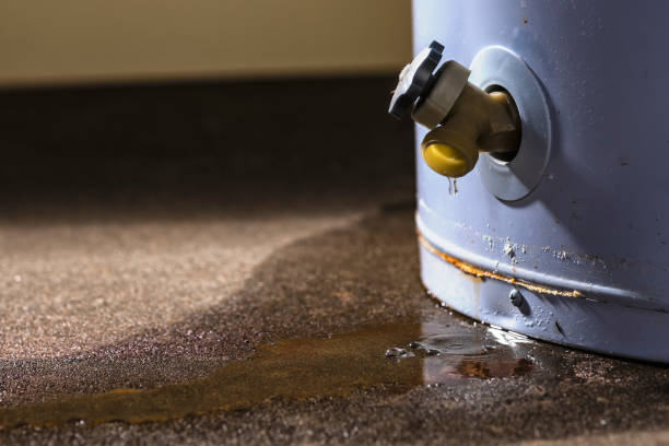 Local water damage restoration in FL