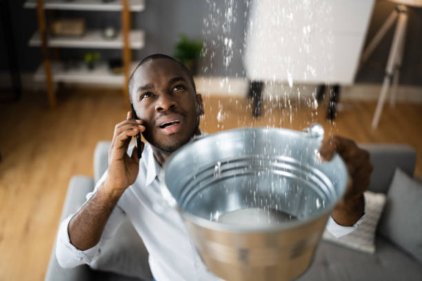 Best Commercial water damage restoration  in Minneola, FL