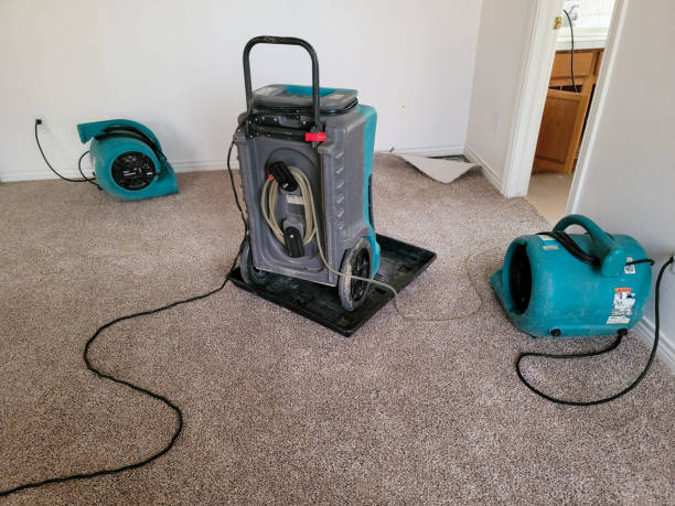 Best Water damage cleanup near me  in Minneola, FL