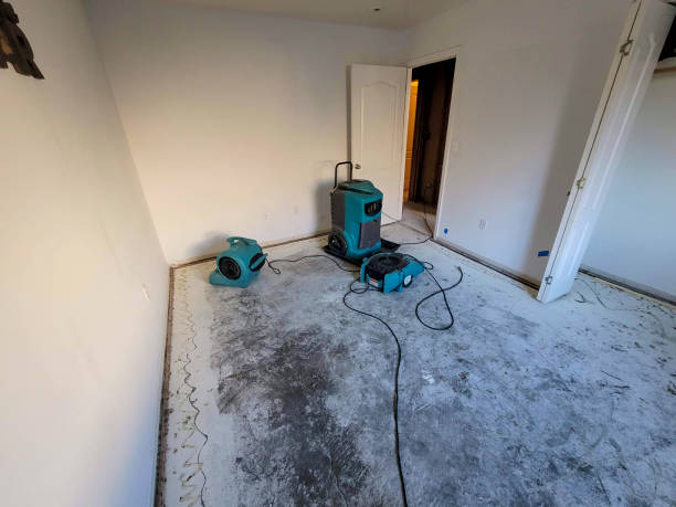 Best Flooded house restoration  in Minneola, FL