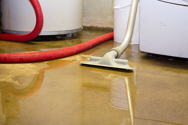 Best Flood damage cleanup  in Minneola, FL