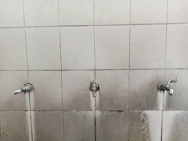 Best Water damage restoration near me  in Minneola, FL