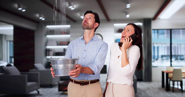 Best Local water damage restoration  in Minneola, FL